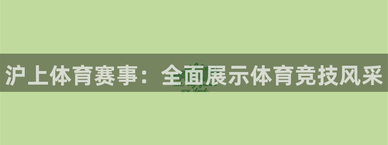 沪上体育赛事：全面展示体育竞技风采