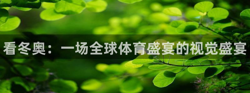 看冬奥：一场全球体育盛宴的视觉盛宴