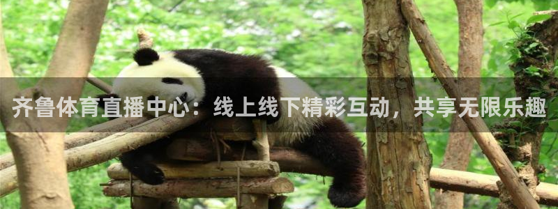 齐鲁体育直播中心：线上线下精彩互动，共享无限乐趣