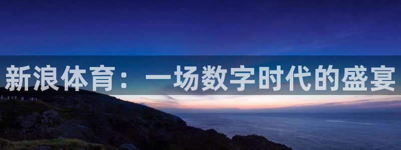 新浪体育：一场数字时代的盛宴