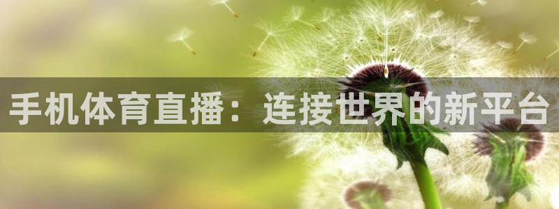手机体育直播：连接世界的新平台