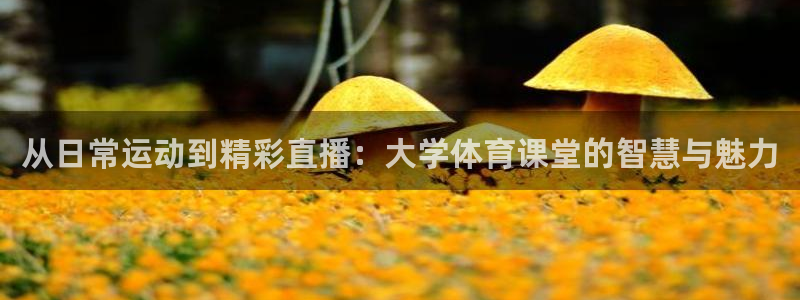 从日常运动到精彩直播：大学体育课堂的智慧与魅力