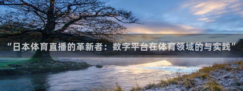 “日本体育直播的革新者：数字平台在体育领域的与实践”