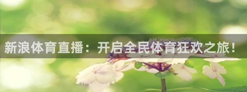 新浪体育直播：开启全民体育狂欢之旅！