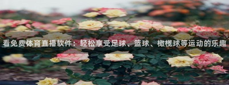 看免费体育直播软件：轻松享受足球、篮球、橄榄球等运动的乐趣