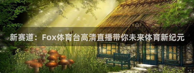 新赛道：Fox体育台高清直播带你未来体育新纪元