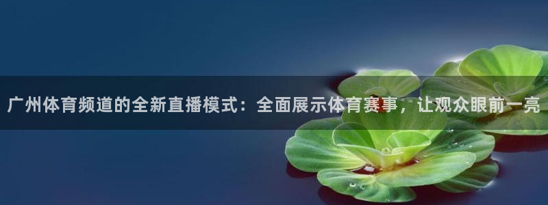 广州体育频道的全新直播模式：全面展示体育赛事，让观众眼前一亮