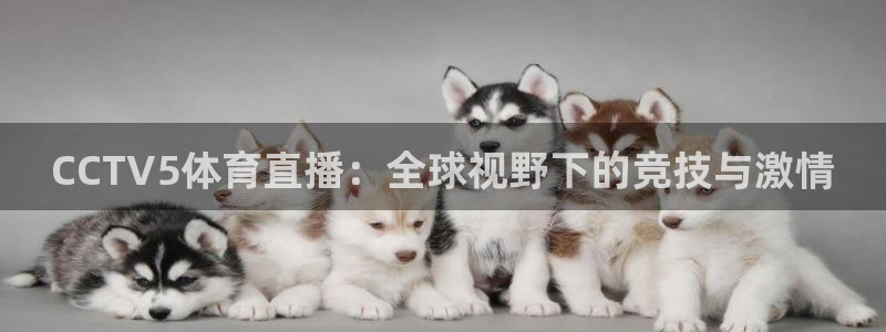 CCTV5体育直播：全球视野下的竞技与激情