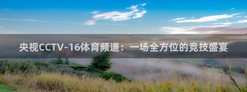央视CCTV-16体育频道：一场全方位的竞技盛宴