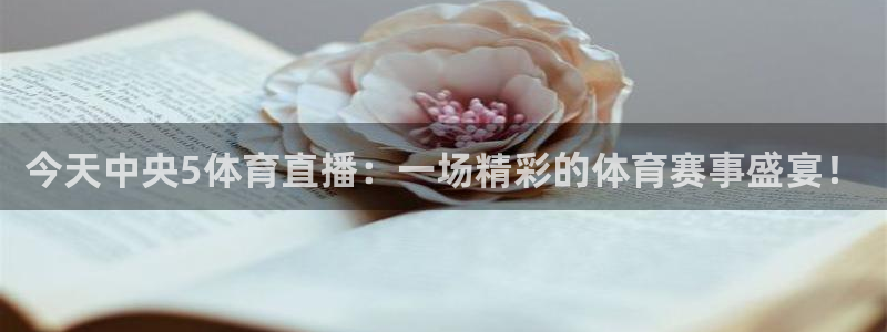 今天中央5体育直播：一场精彩的体育赛事盛宴！