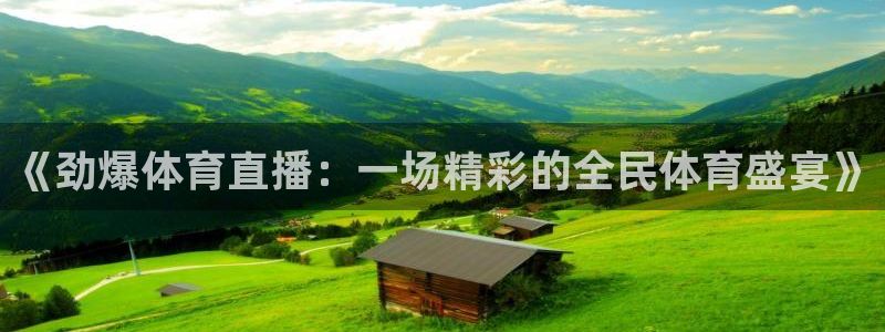 《劲爆体育直播：一场精彩的全民体育盛宴》