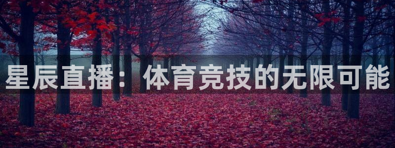 星辰直播：体育竞技的无限可能