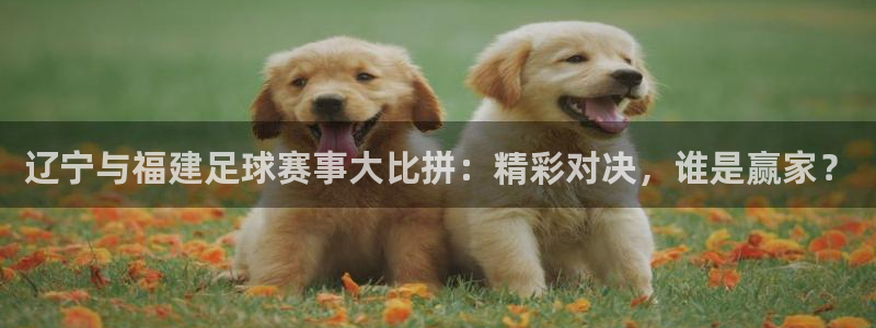 辽宁与福建足球赛事大比拼：精彩对决，谁是赢家？