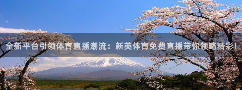 全新平台引领体育直播潮流：新英体育免费直播带你领略精彩!