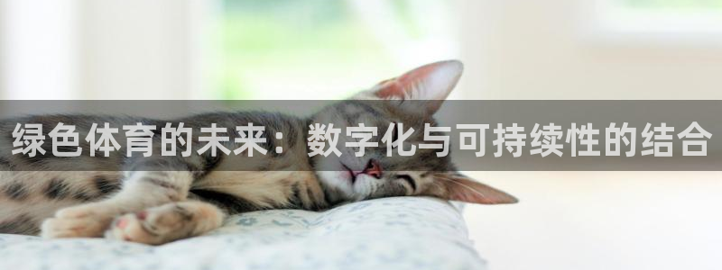 绿色体育的未来：数字化与可持续性的结合